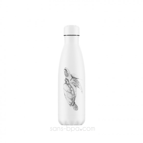 Bouteille isotherme inox 500ml - SEAHORSE