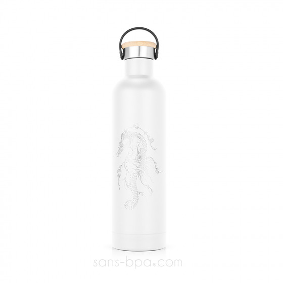 Bouteille isotherme inox 500ml Label'Tour - HIBOU