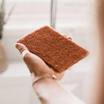 Lot 2 éponges coco à récurer compostables