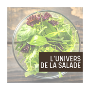 L'univers de la salade